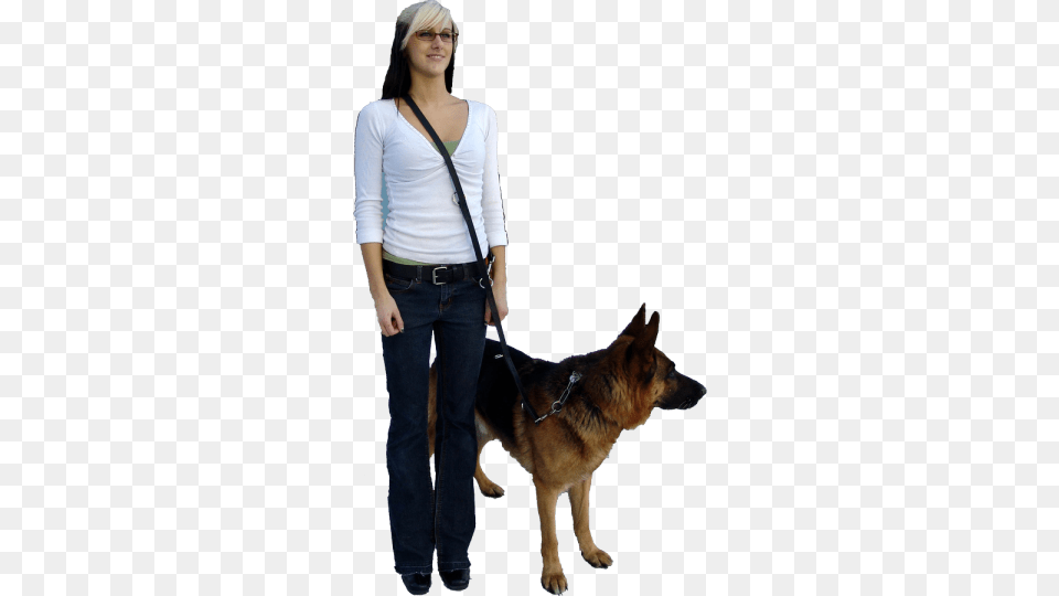 Working Service Dog Old German Shepherd Dog, Pants, Clothing, Pet, Mammal Free Transparent Png