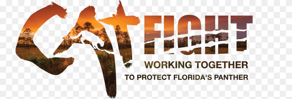 Working Together To Protect Florida39s Panther Florida, Silhouette, Animal, Bear, Mammal Free Png