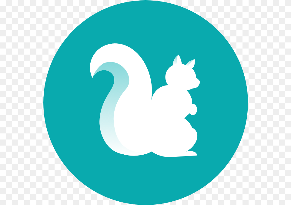 Workshops Twitter Icon For Email Signature Clipart Full Tree Squirrels, Logo, Disk Png Image