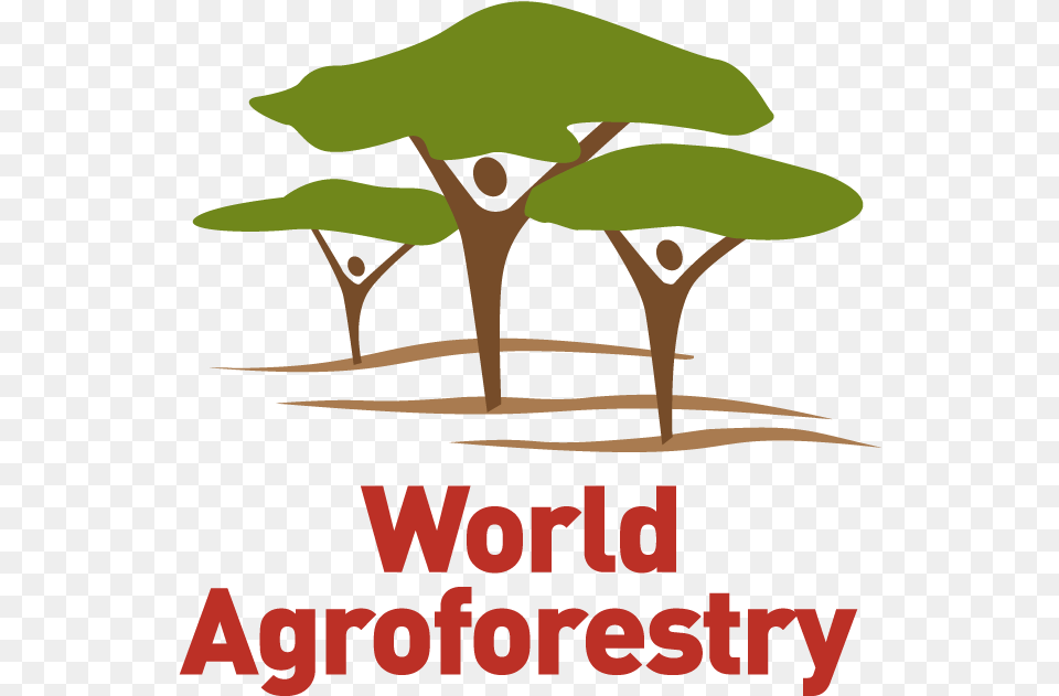 World Agroforestry Transforming Lives And Landscapes With World Agroforestry Centre, Vegetation, Tree, Plant, Outdoors Png Image