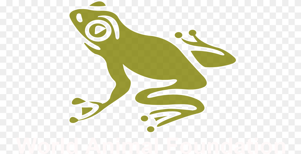 World Animal Foundation, Amphibian, Frog, Wildlife, Fish Png Image