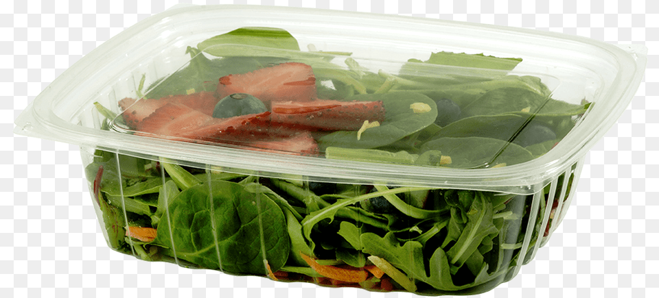 World Centric Clear Rectangular Deli Envases Biodegradables Para Ensaladas, Food, Lunch, Meal, Produce Free Png Download