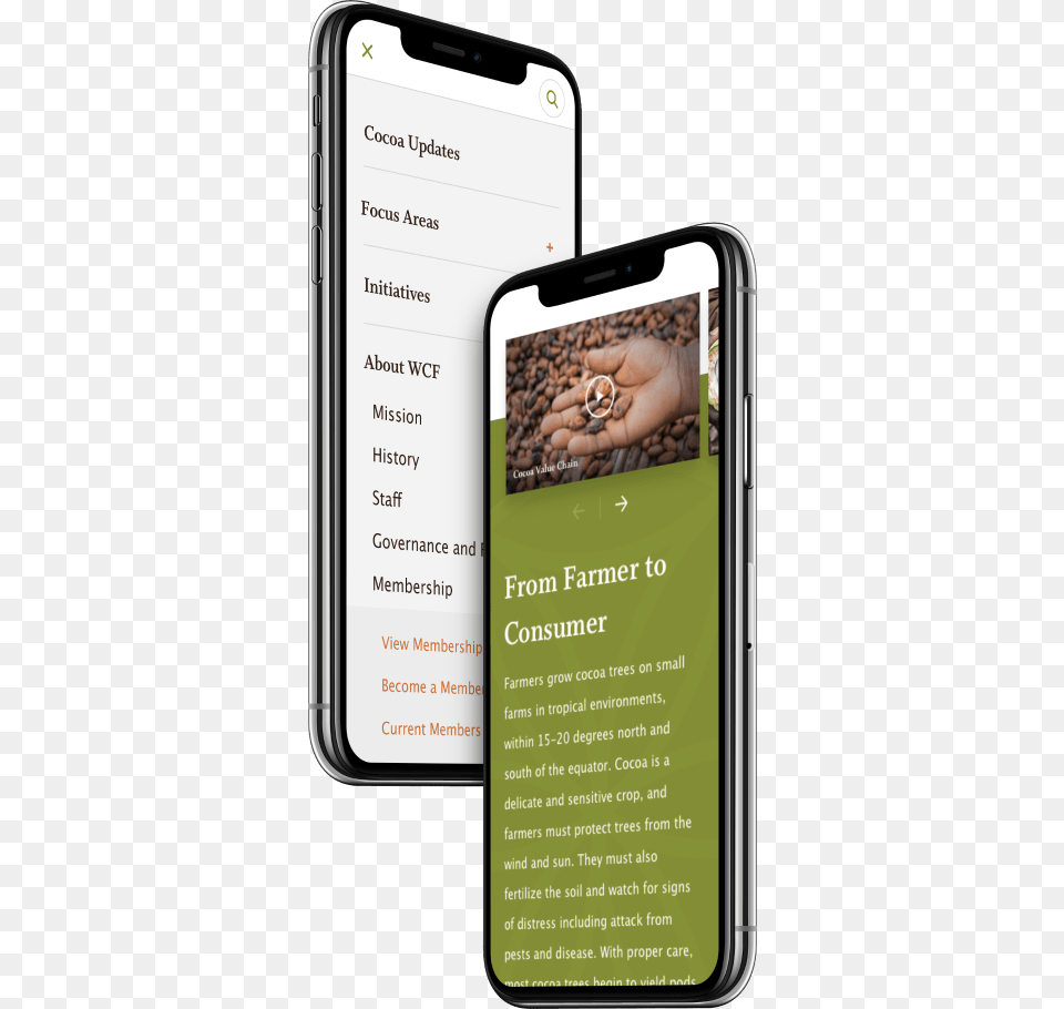 World Cocoa Foundation Website Displayed On Mobile World Cocoa Foundation, Electronics, Mobile Phone, Phone, Baby Free Png