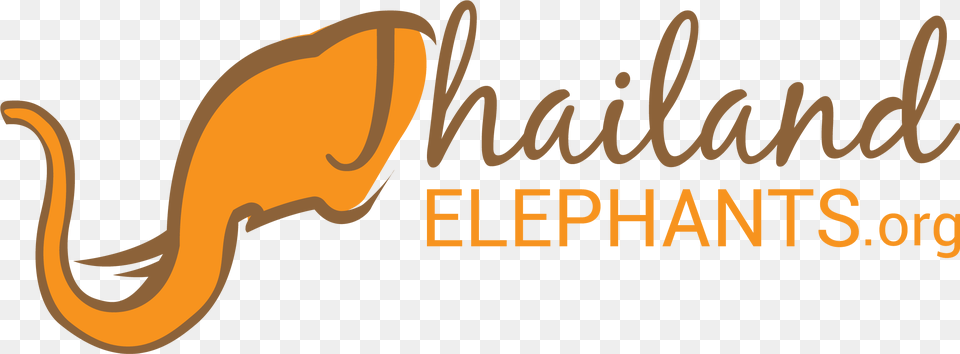 World Elephant Day Thailand Elephants Logo Free Transparent Png