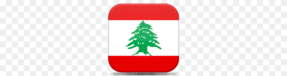 World Flags, Plant, Tree, Christmas, Christmas Decorations Free Png Download