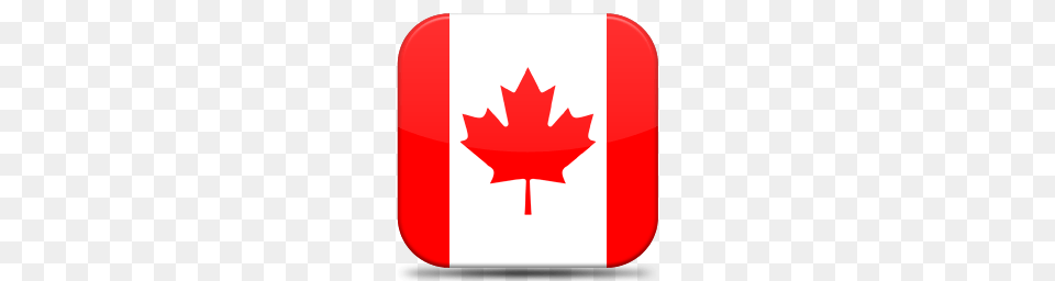 World Flags, Leaf, Plant, Maple Leaf, Dynamite Png Image