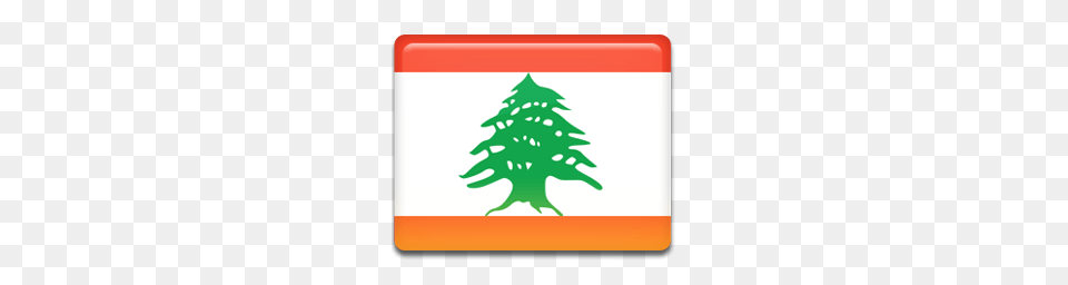 World Flags, Plant, Tree, Christmas, Christmas Decorations Free Png Download