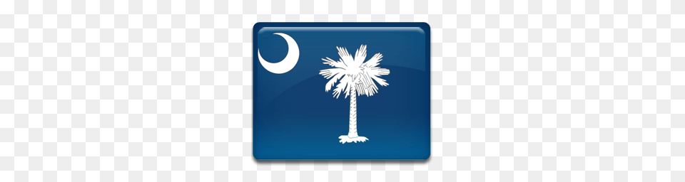 World Flags, Palm Tree, Plant, Tree, Outdoors Free Png Download