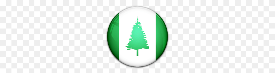 World Flags, Tree, Plant, Fir, Pine Free Png
