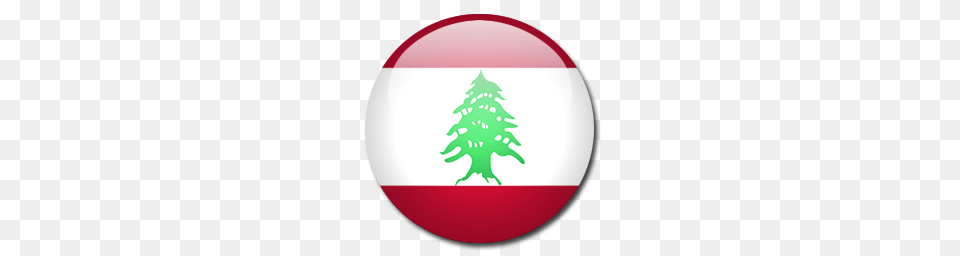 World Flags, Plant, Tree, Christmas, Christmas Decorations Png