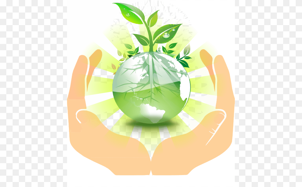 World Hands Clipart, Herbs, Plant, Leaf, Green Png