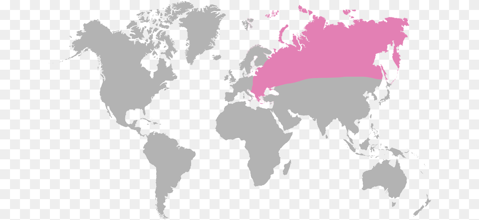 World Map, Chart, Plot, Atlas, Baby Png Image