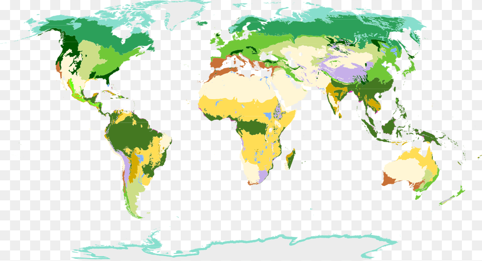 World Map, Chart, Plot, Green, Land Free Transparent Png