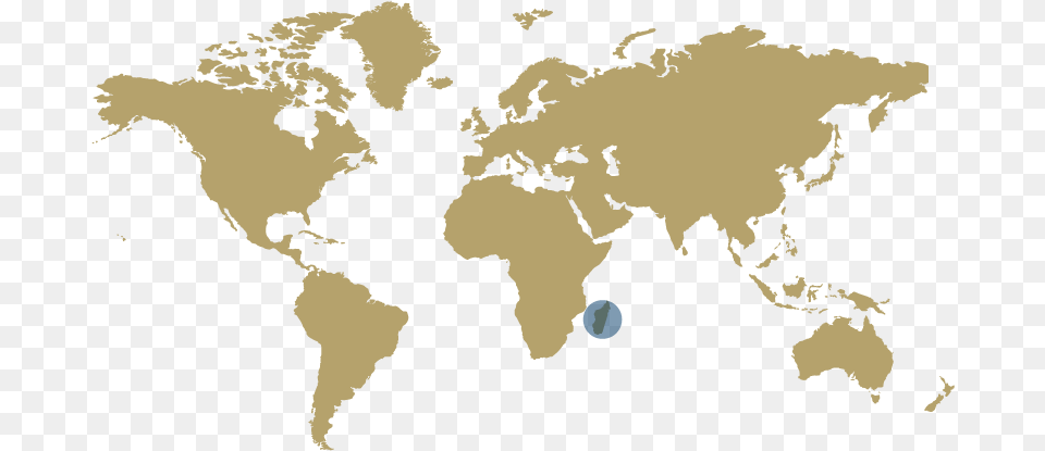 World Map Contact Us, Plot, Chart, Person, Atlas Png Image