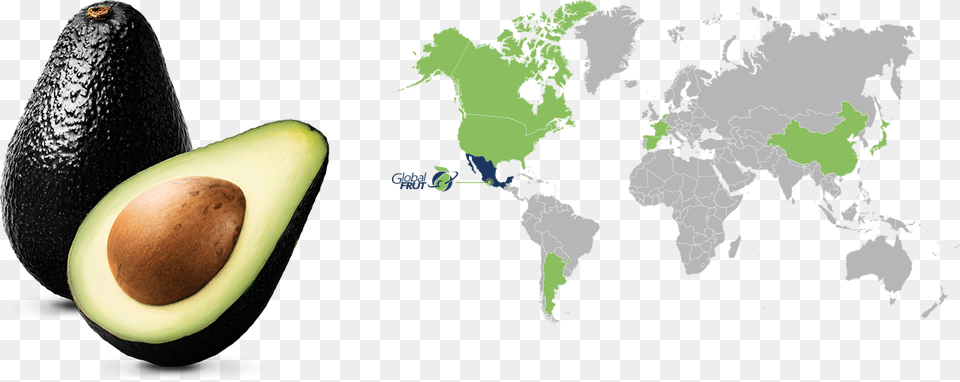 World Map Countries White Background, Avocado, Egg, Food, Fruit Free Png Download