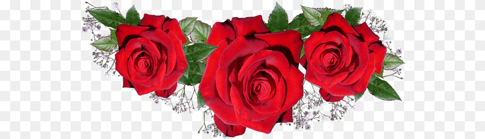 World Marriage Day, Flower, Flower Arrangement, Flower Bouquet, Plant Png Image