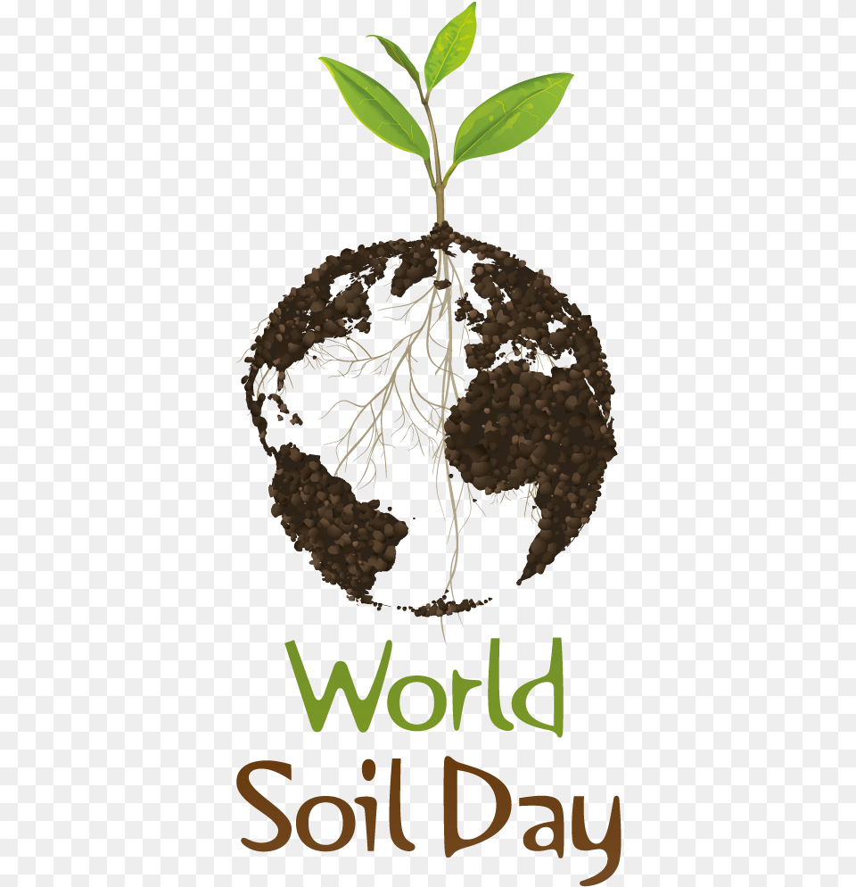 World Soil Day World Soil Day 2017 Theme, Plant, Root Png Image