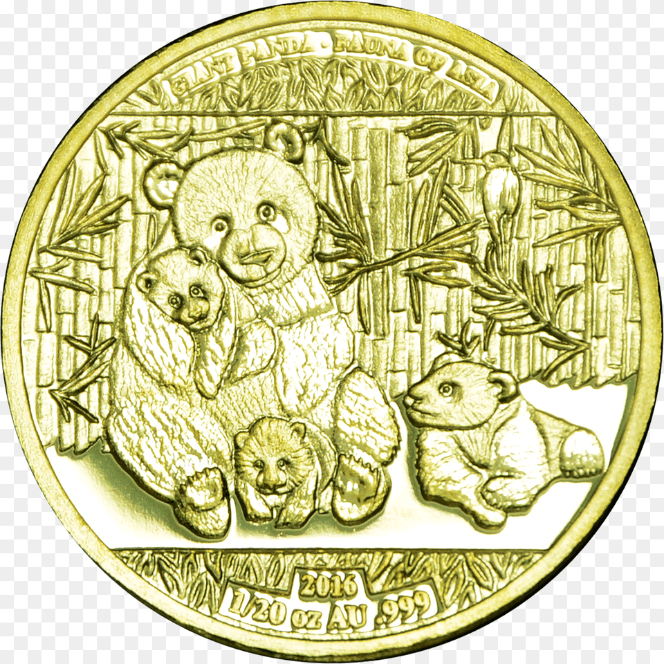 World Stars Giant Panda 120 Gold Coin, Money, Animal, Bird Free Transparent Png