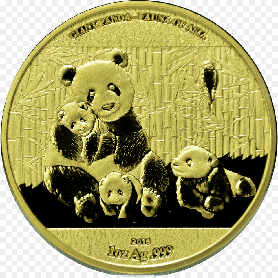 World Stars Silver Investment Giant Panda Complete Coin, Gold, Baby, Person, Mammal Png Image