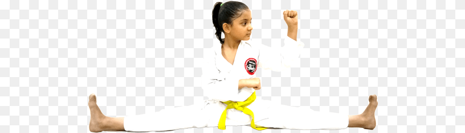 World Traditional Shotoryu Karate Association Kung Fu, Martial Arts, Person, Sport, Child Free Png Download