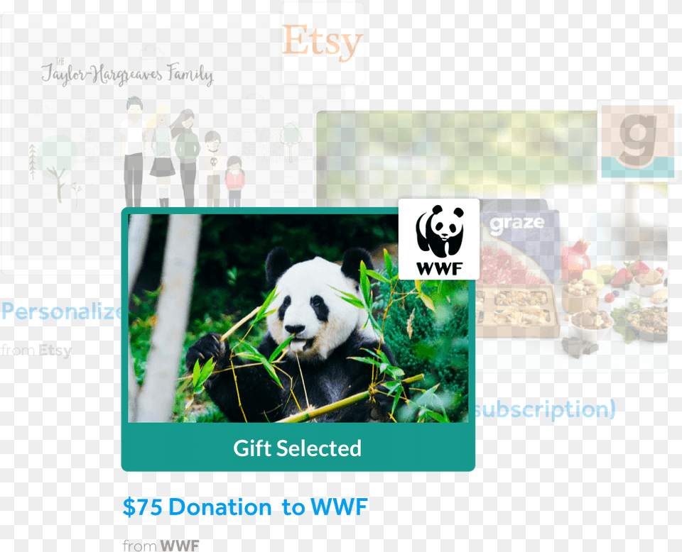 World Wide Fund For Nature, Person, Animal, Bear, Giant Panda Png