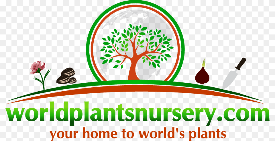 Worldplantsnursery, Art, Plant, Herbs, Herbal Png Image