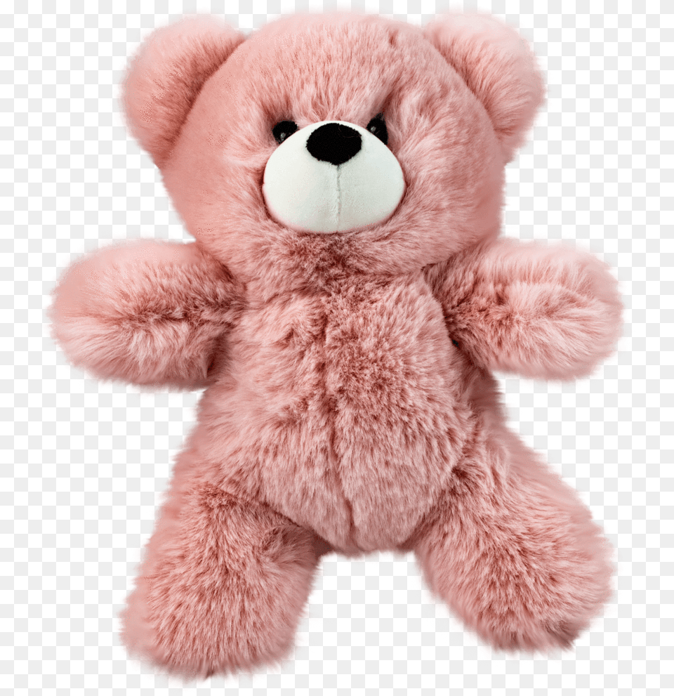 Worlds Softest Plush Bear, Teddy Bear, Toy Free Png