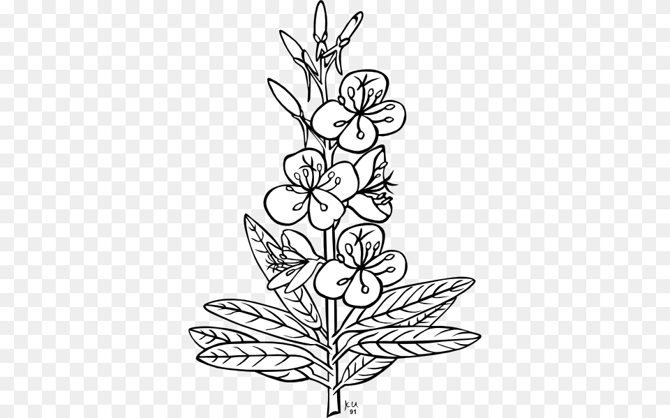 Worm Black White Flower Plant, Art, Drawing, Floral Design, Graphics Free Transparent Png