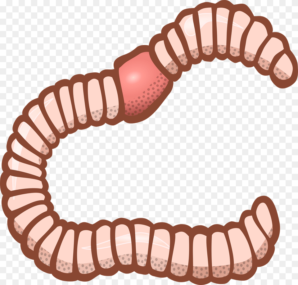 Worm Clipart, Animal, Invertebrate, Dynamite, Weapon Free Transparent Png