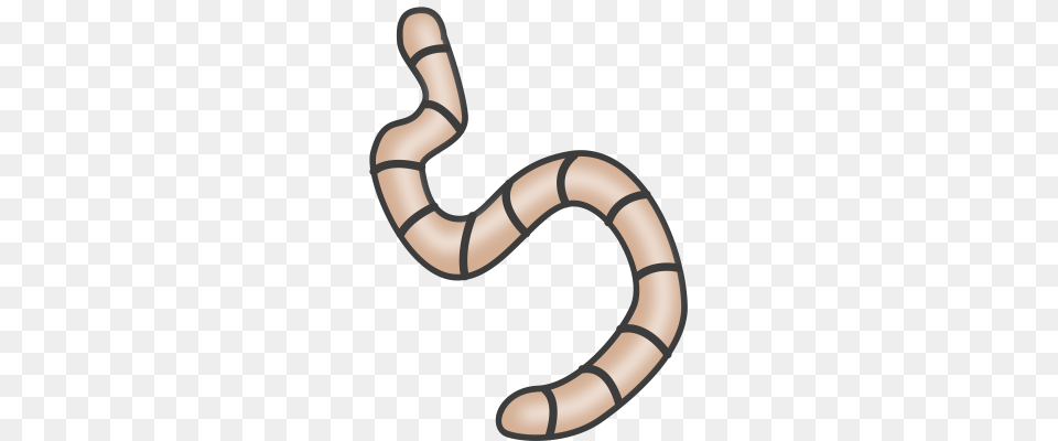 Worm Clipart, Smoke Pipe, Animal Free Png