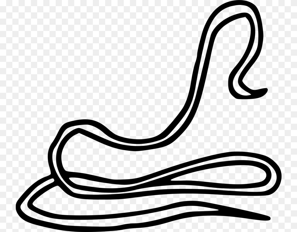 Worm Dracunculiasis Dracunculus Medinensis Parasitism Drawing, Gray Free Transparent Png