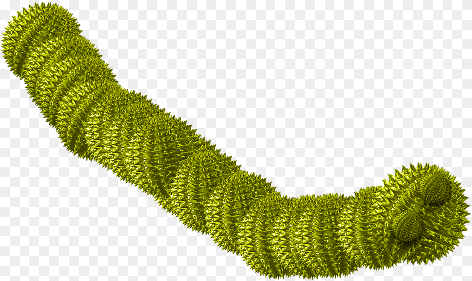 Worm Green Spiky Worm Virus Computer Worm, Moss, Plant, Accessories Png Image