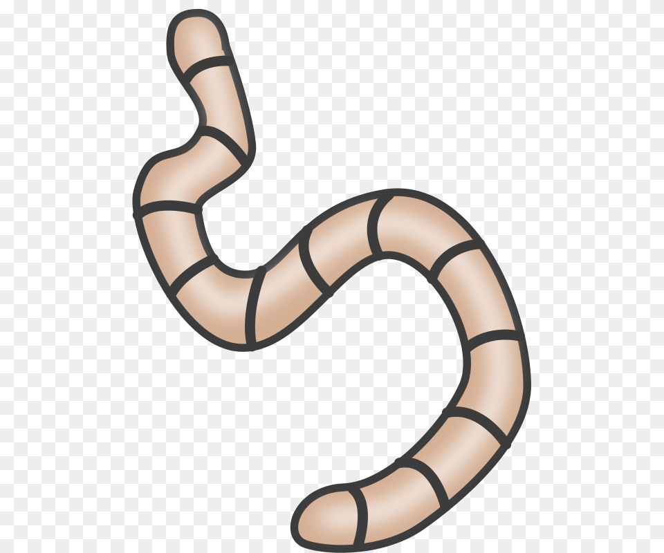 Worms, Smoke Pipe, Animal, Reptile Png