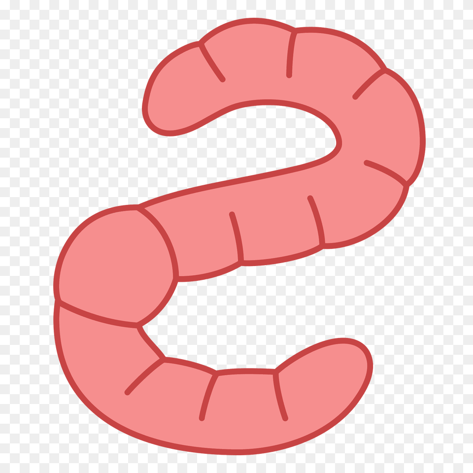 Worms Png Image