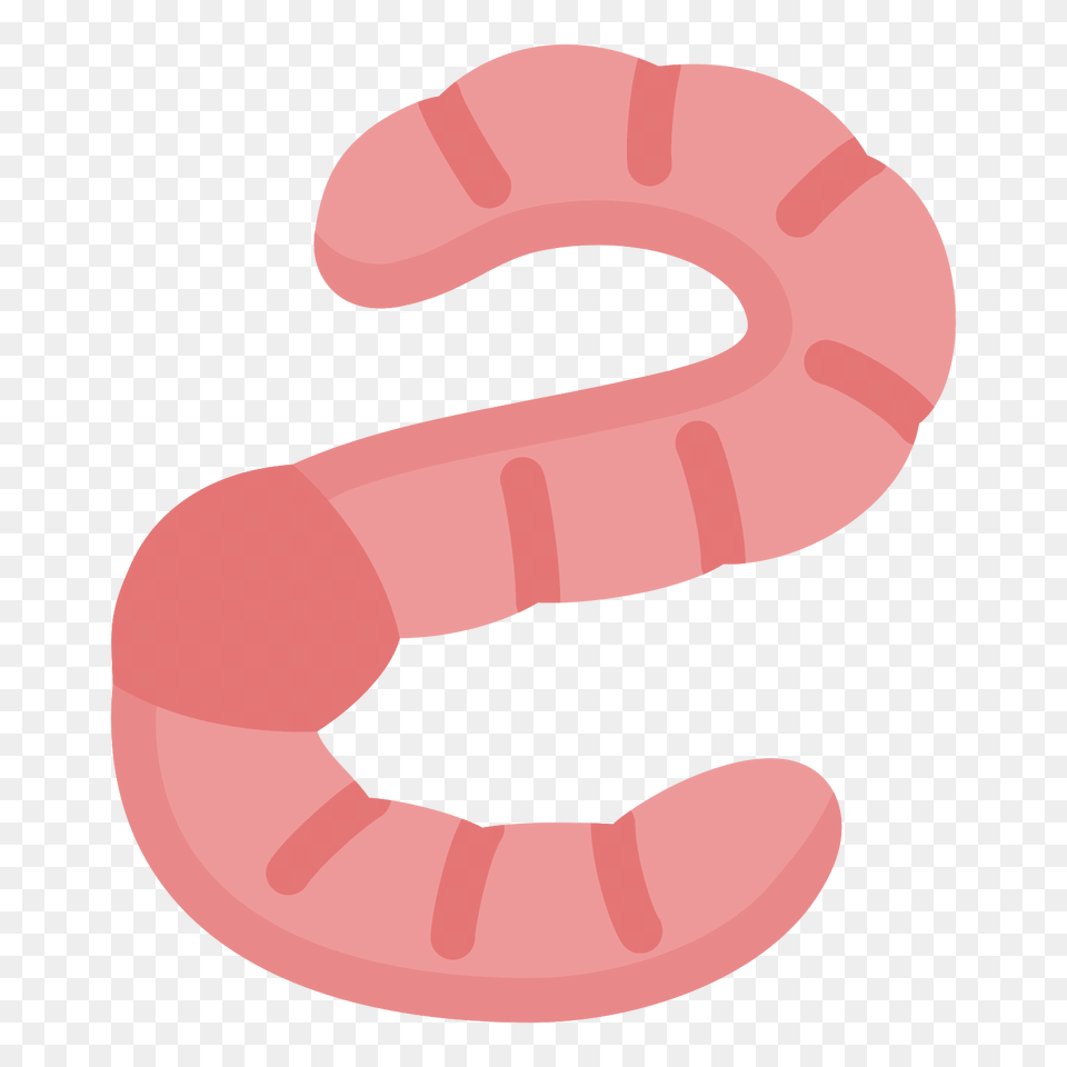 Worms, Animal Free Transparent Png