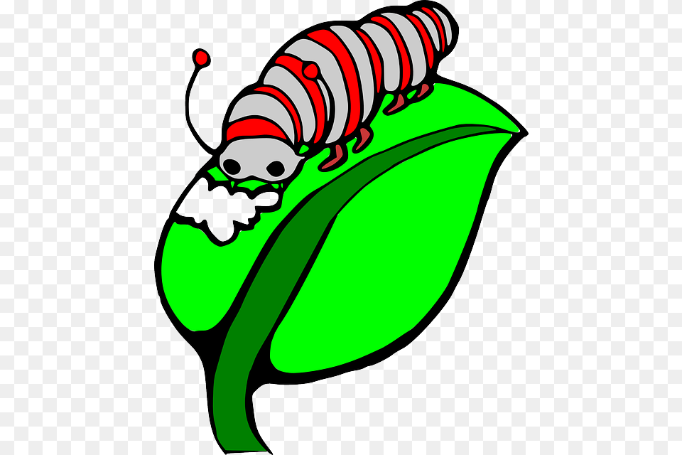Worms Clipart Caterpillar, Leaf, Plant, Smoke Pipe, Animal Free Png