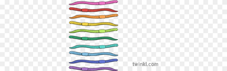 Worms Illustration Twinkl Wire, Accessories, Strap Png Image