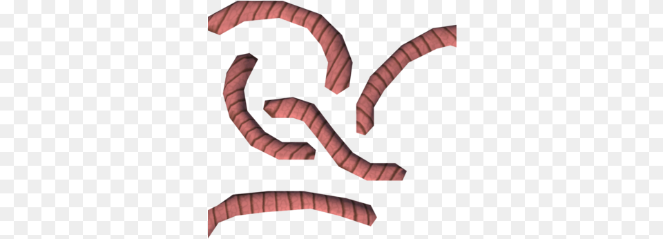 Worms Millipedes, Animal, Invertebrate, Worm Free Png Download