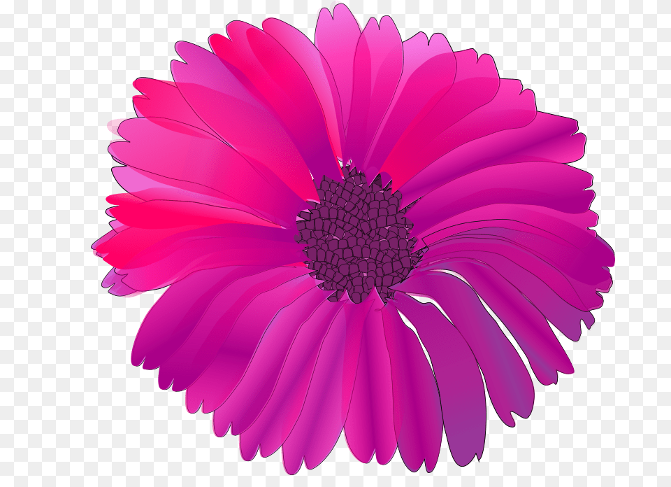 Worms X Flower Pink, Dahlia, Daisy, Petal, Plant Png