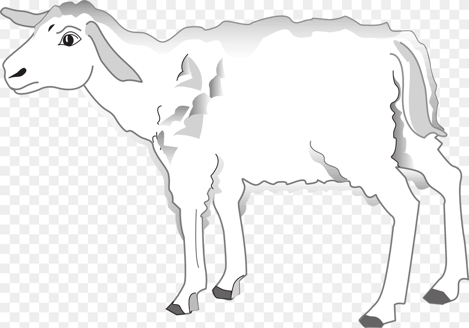 Worried Lamb Clipart, Livestock, Animal, Mammal, Goat Png Image
