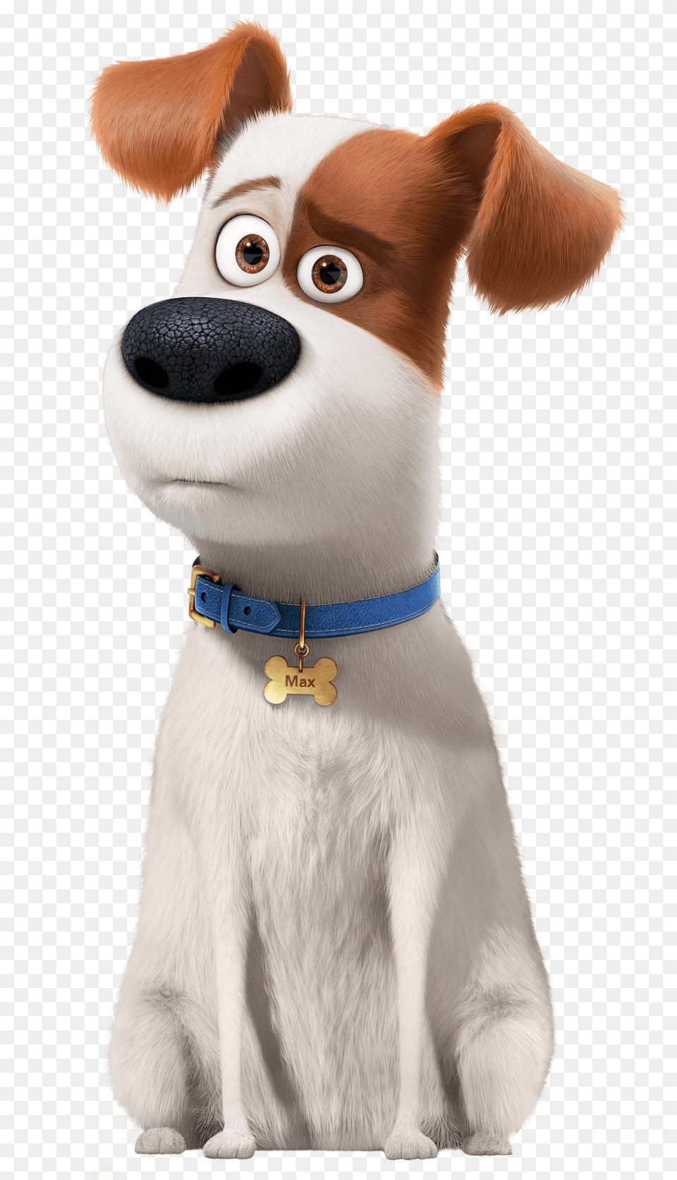 Worried Max, Snout, Accessories, Animal, Canine Free Png Download