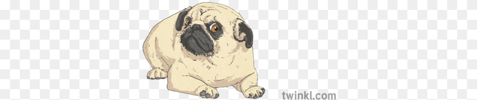 Worried Pug Illustration Twinkl Pug, Animal, Canine, Dog, Mammal Png Image