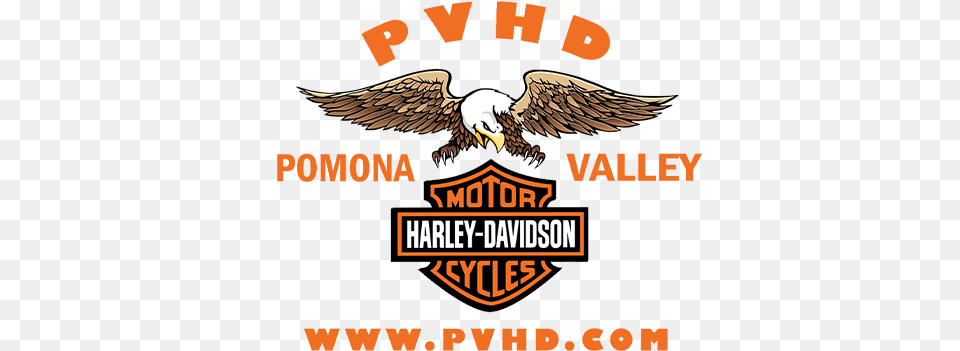Worry Extended Winter Warranty 2020 Pomona Valley Harley Davidson, Animal, Bird, Eagle, Beak Free Transparent Png