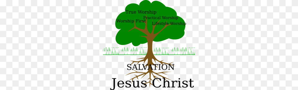 Worship Clip Art, Plant, Root, Tree, Vegetation Png