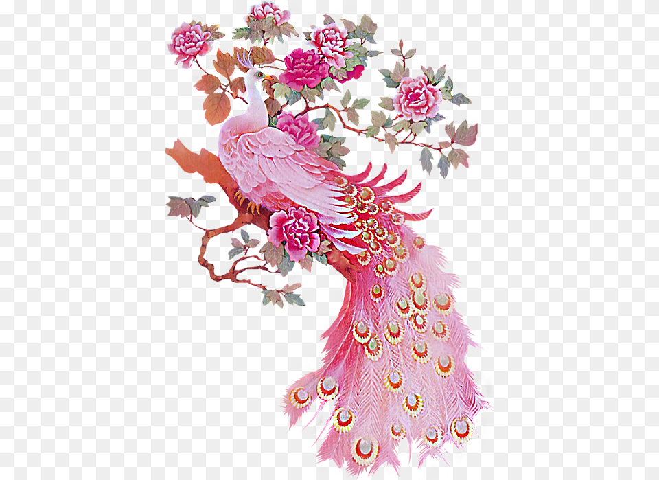 Would Love This Picture To Hang In My Bathroom Pink Peacock Art, Floral Design, Graphics, Pattern, Plant Free Transparent Png