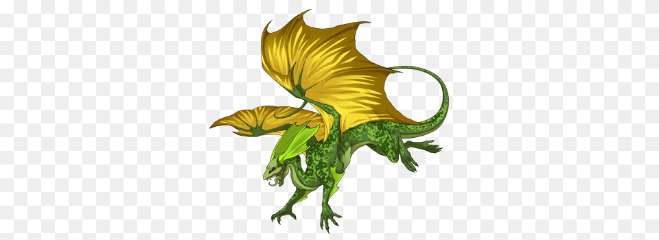 Wow Petopia Community View Topic, Dragon, Person Free Png