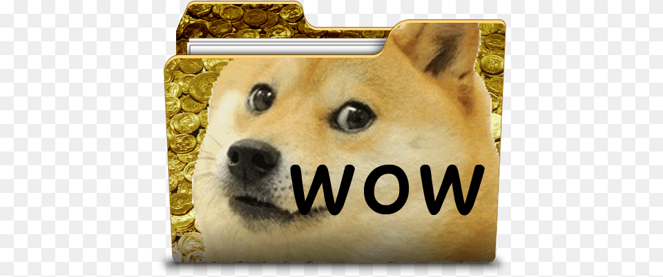 Wow So Icon Very Desktop Ico In Comments Dogecoin Someone Touch My Hair, Animal, Canine, Dog, Mammal Free Png Download