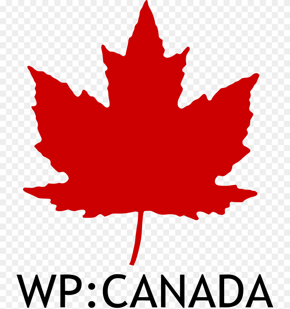 Wp Canada Logo, Leaf, Maple Leaf, Plant, Tree Free Png Download