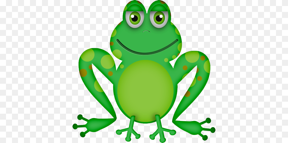 Wp Toyl Frog Sapos Ratos Frogs Snail, Green, Amphibian, Animal, Wildlife Free Png