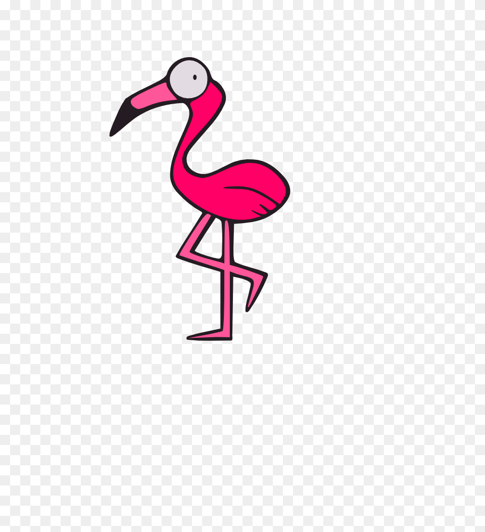 Wpc, Animal, Bird, Flamingo Free Png Download
